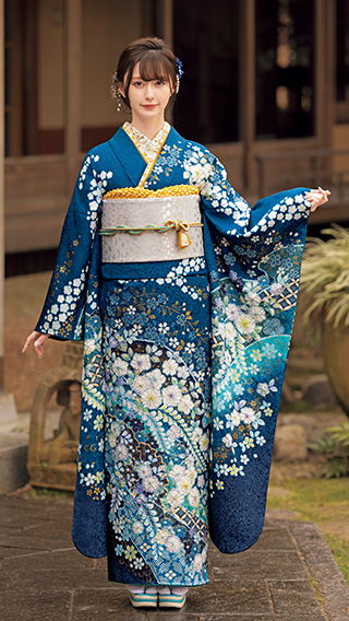 ご購入価格：528,000円 
レンタル価格：330,000円