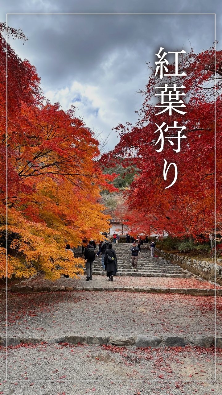 唐草アンケスライダー用01