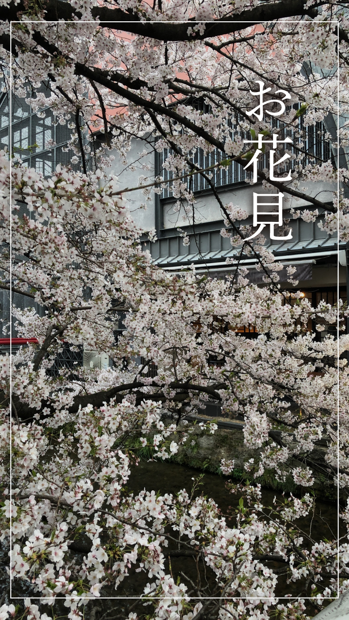 唐草アンケスライダー用08