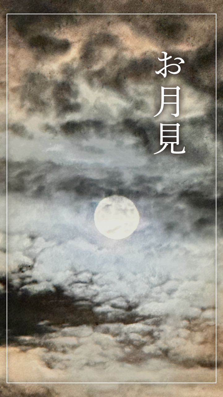 唐草アンケスライダー用09